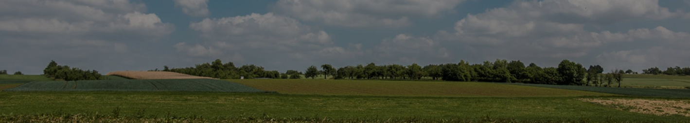 Don't Let Your Land Stay Unmanaged